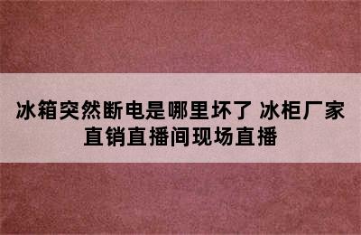 冰箱突然断电是哪里坏了 冰柜厂家直销直播间现场直播